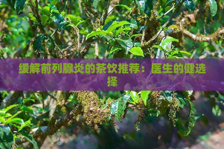 缓解前列腺炎的茶饮推荐：医生的健选择