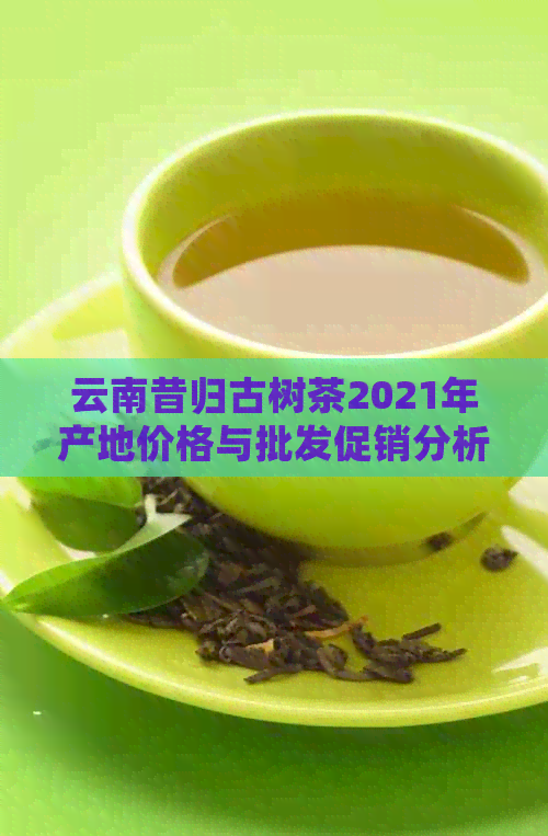 云南昔归古树茶2021年产地价格与批发促销分析：阿里、京东等电商平台货源