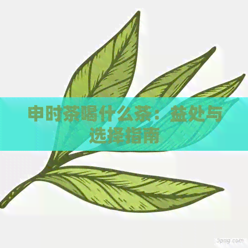 申时茶喝什么茶：益处与选择指南