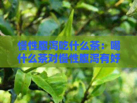 慢性腹泻吃什么茶：喝什么茶对慢性腹泻有好处？