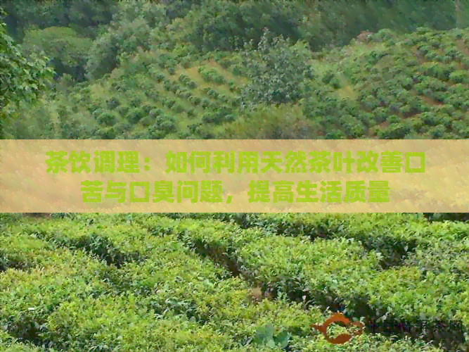 茶饮调理：如何利用天然茶叶改善口苦与口臭问题，提高生活质量