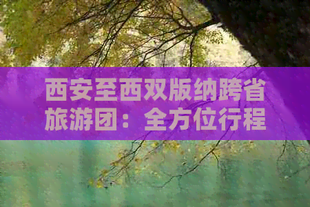 西安至西双版纳跨省旅游团：全方位行程规划、景点推荐及费用详解