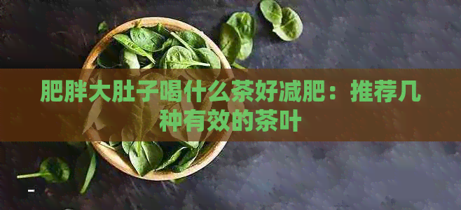 肥胖大肚子喝什么茶好减肥：推荐几种有效的茶叶