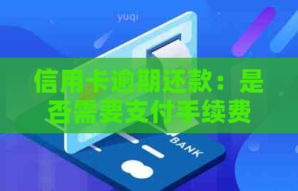 信用卡逾期还款：是否需要支付手续费？合法性及相关法规解析