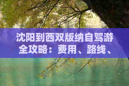 沈阳到西双版纳自驾游全攻略：费用、路线、景点一网打尽！