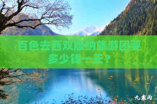 百色去西双版纳旅游团要多少钱一天？