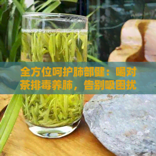 全方位呵护肺部健：喝对茶排养肺，告别吸困扰！