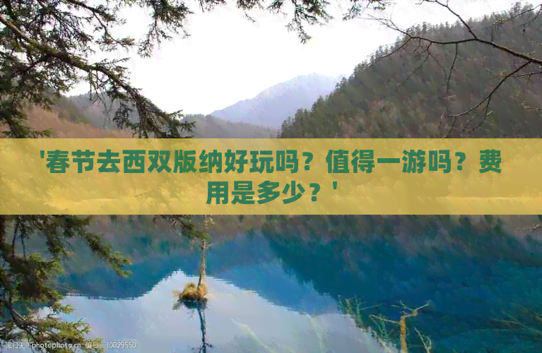 '春节去西双版纳好玩吗？值得一游吗？费用是多少？'