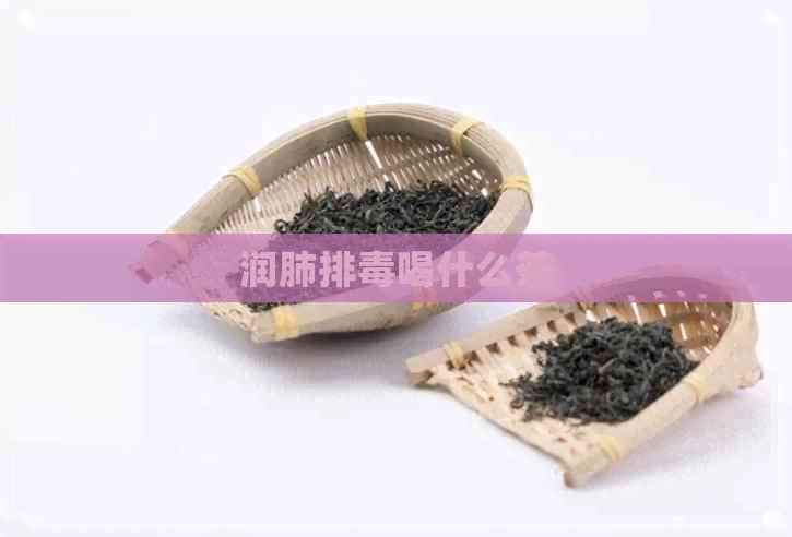 润肺排喝什么茶