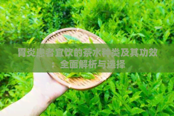 胃炎患者宜饮的茶水种类及其功效：全面解析与选择