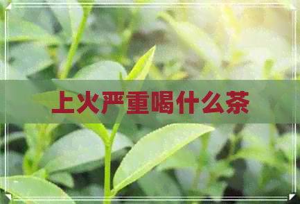 上火严重喝什么茶