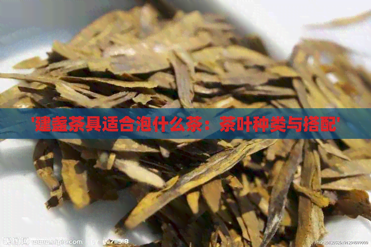 '建盏茶具适合泡什么茶：茶叶种类与搭配'