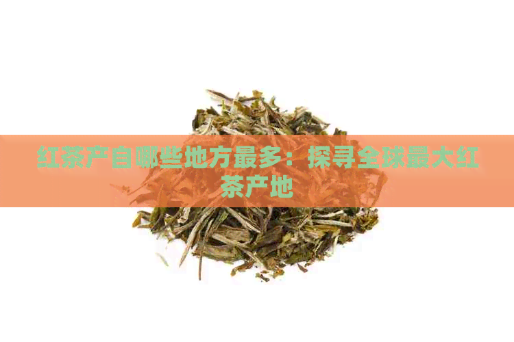 红茶产自哪些地方最多：探寻全球更大红茶产地