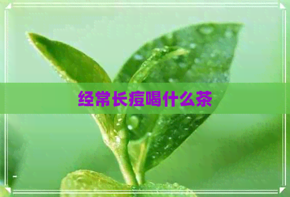 经常长痘喝什么茶