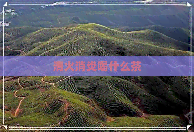 清火消炎喝什么茶