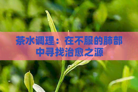 茶水调理：在不服的肺部中寻找治愈之源