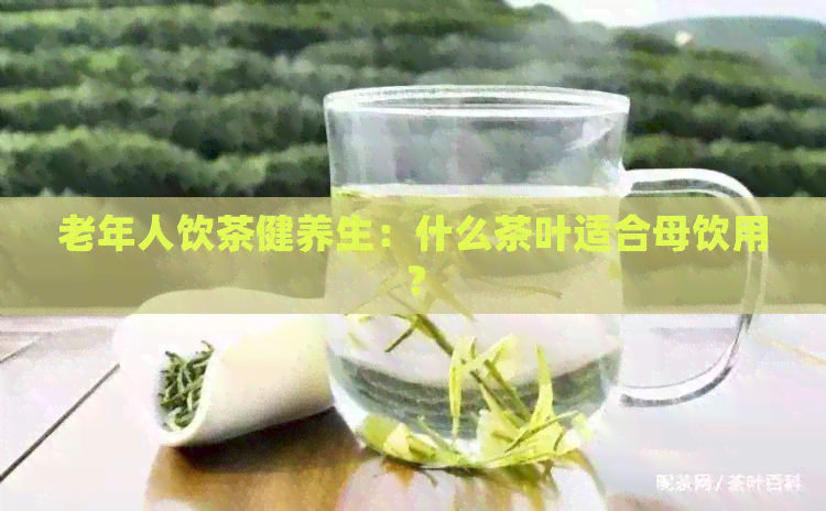 老年人饮茶健养生：什么茶叶适合母饮用？