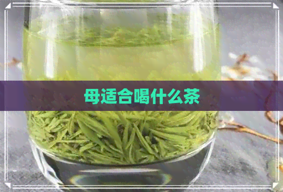 母适合喝什么茶