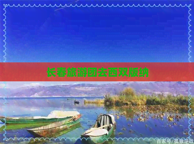 长春旅游团去西双版纳