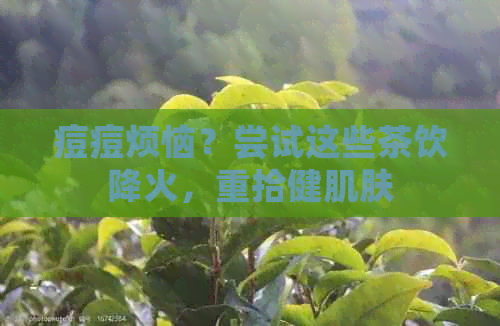 痘痘烦恼？尝试这些茶饮降火，重拾健肌肤