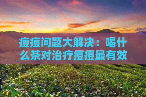 痘痘问题大解决：喝什么茶对治疗痘痘最有效？