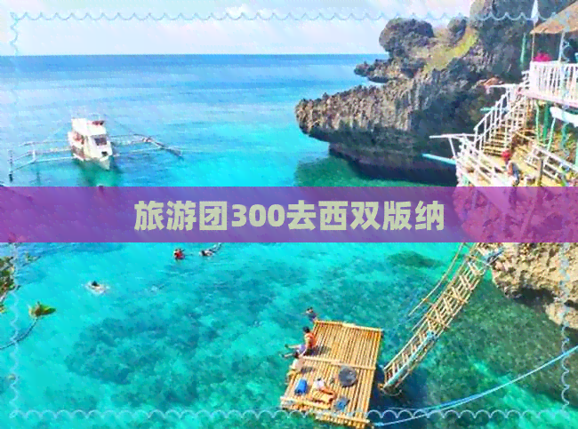 旅游团300去西双版纳