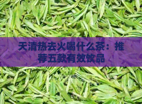 天清热去火喝什么茶：推荐五款有效饮品