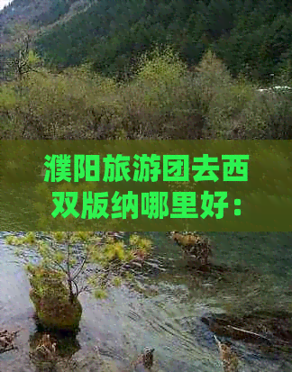 濮阳旅游团去西双版纳哪里好：西双版纳景区推荐及路线规划