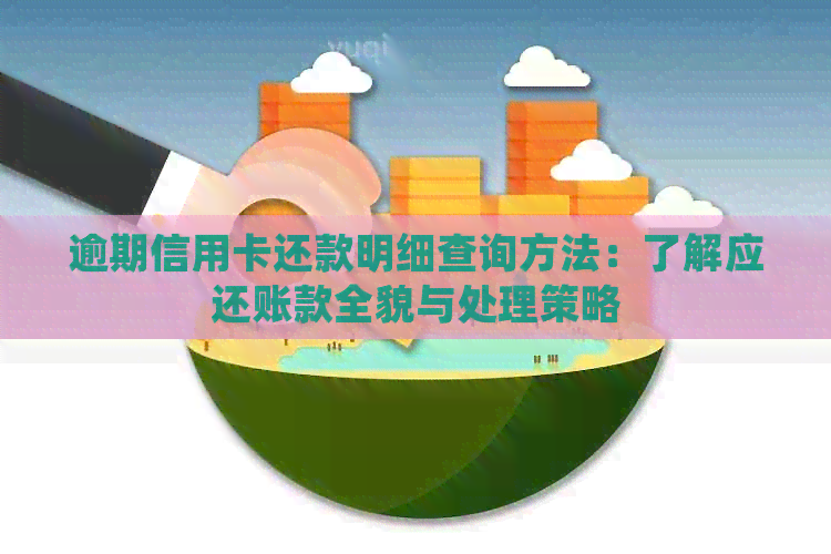 逾期信用卡还款明细查询方法：了解应还账款全貌与处理策略