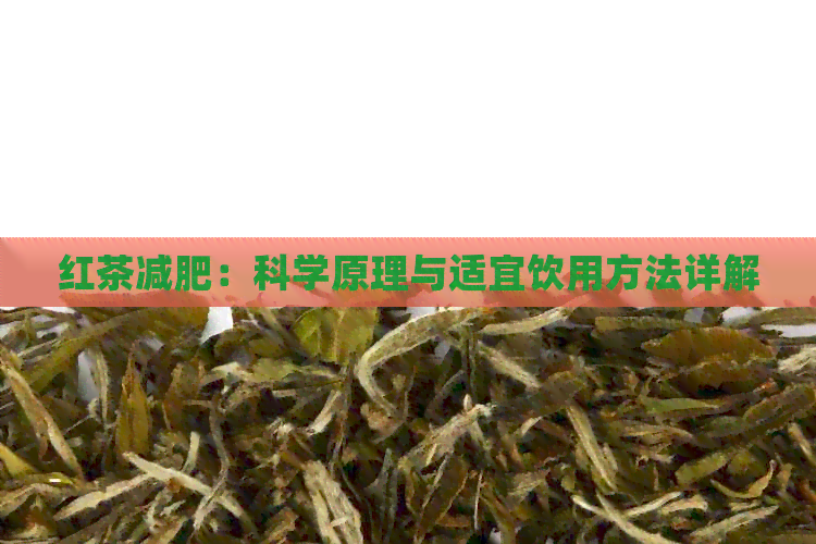 红茶减肥：科学原理与适宜饮用方法详解