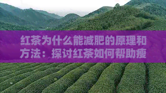 红茶为什么能减肥的原理和方法：探讨红茶如何帮助瘦身