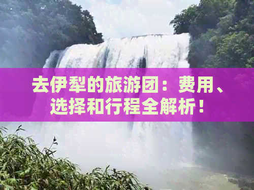 去伊犁的旅游团：费用、选择和行程全解析！