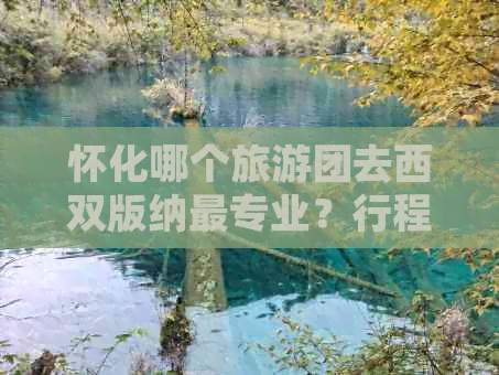 怀化哪个旅游团去西双版纳最专业？行程安排、费用价格全解析！