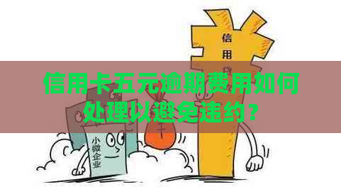 信用卡五元逾期费用如何处理以避免违约？