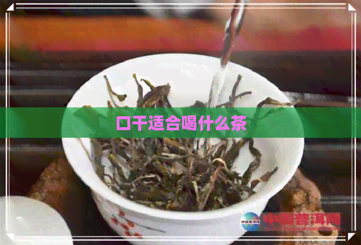 口干适合喝什么茶