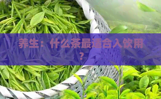 养生：什么茶最适合入饮用？