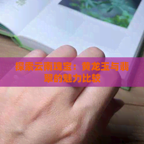 探索云南瑰宝：黄龙玉与翡翠的魅力比较