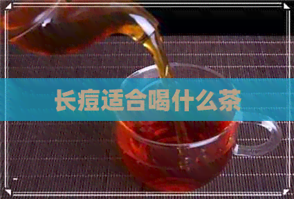 长痘适合喝什么茶