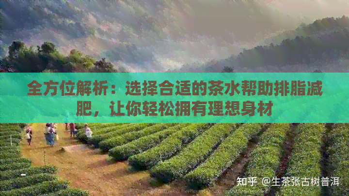 全方位解析：选择合适的茶水帮助排脂减肥，让你轻松拥有理想身材