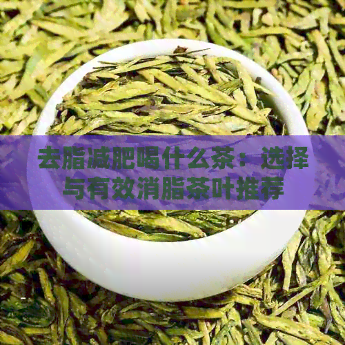 去脂减肥喝什么茶：选择与有效消脂茶叶推荐