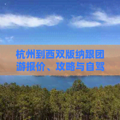 杭州到西双版纳跟团游报价、攻略与自驾费用详解，一趟游玩需要多少钱？