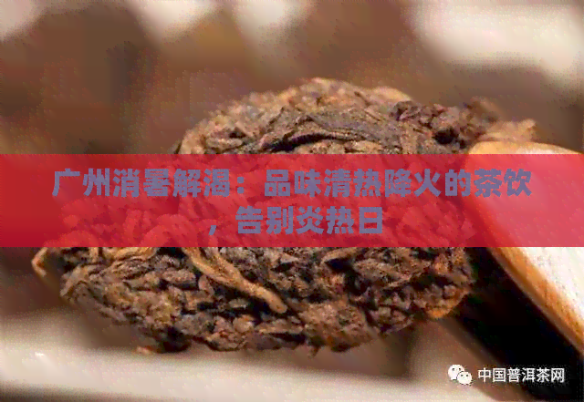 广州消暑解渴：品味清热降火的茶饮，告别炎热日