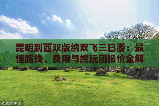 昆明到西双版纳双飞三日游：更佳路线、费用与纯玩团报价全解析