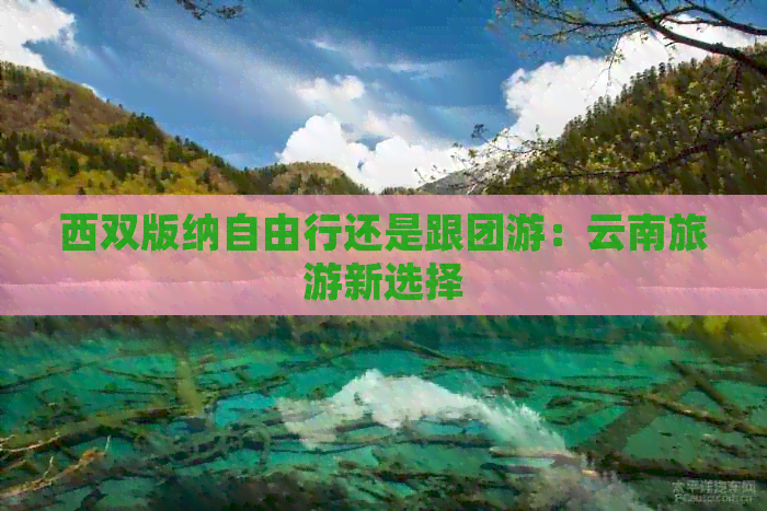 西双版纳自由行还是跟团游：云南旅游新选择