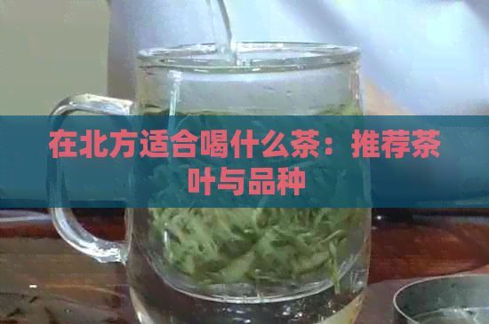 在北方适合喝什么茶：推荐茶叶与品种