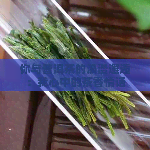 你与普洱茶的浪漫邂逅：我心中的茶香情话