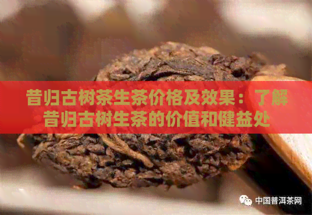 昔归古树茶生茶价格及效果：了解昔归古树生茶的价值和健益处