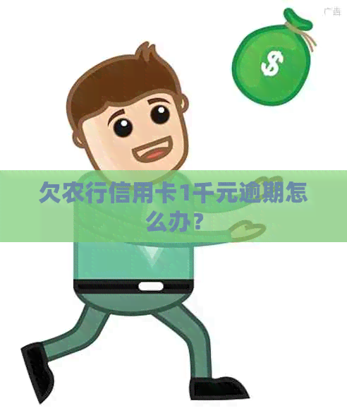 欠农行信用卡1千元逾期怎么办？