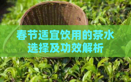 春节适宜饮用的茶水选择及功效解析