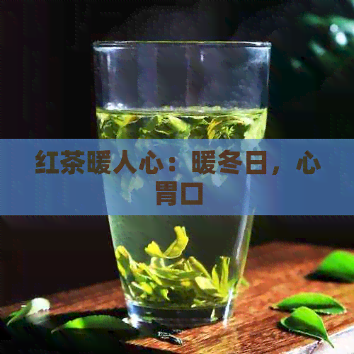 红茶暖人心：暖冬日，心胃口